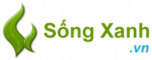 song xanh.vn